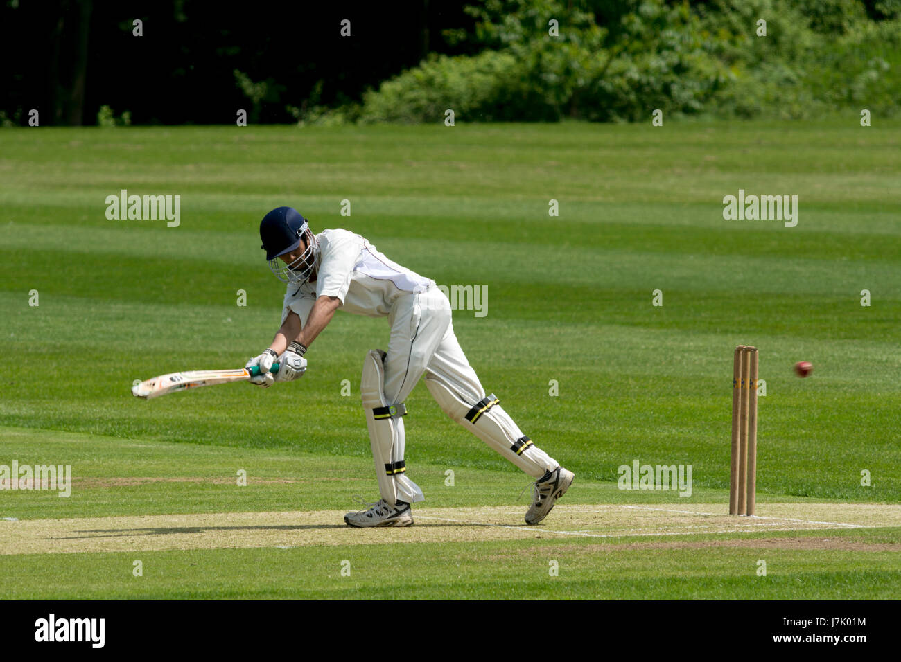 Le sport universitaire, UK - men's cricket Banque D'Images