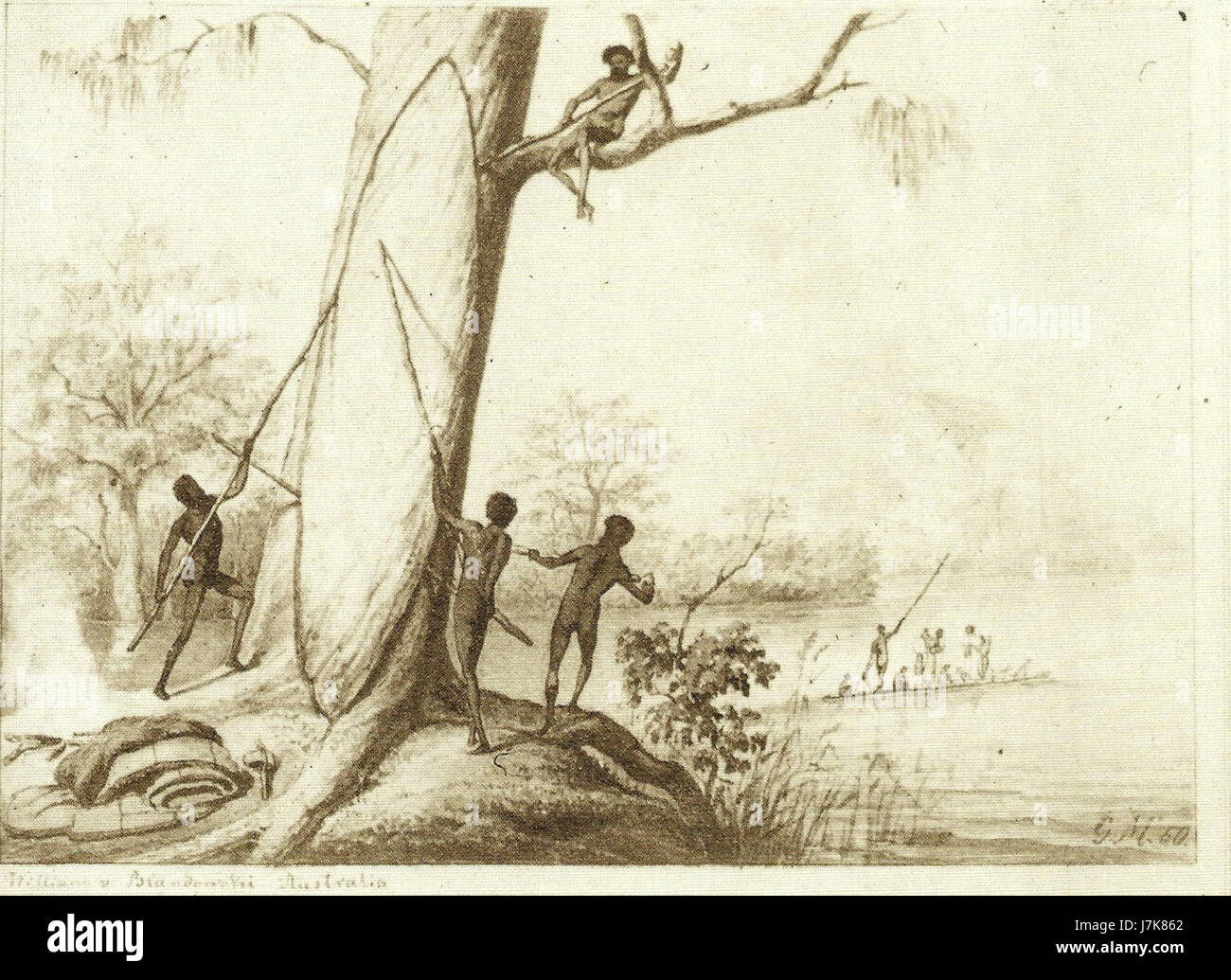 La fabrication de canots est un métier traditionnel qui implique la construction de canots, souvent en utilisant du bois et d'autres matériaux naturels. Ce processus est pratiqué par les communautés autochtones et côtières du monde entier, y compris en Amérique du Nord, en Océanie et dans certaines régions d'Asie. Le métier consiste à façonner et à sculpter le bois pour créer un navire fonctionnel et en état de navigabilité. Banque D'Images