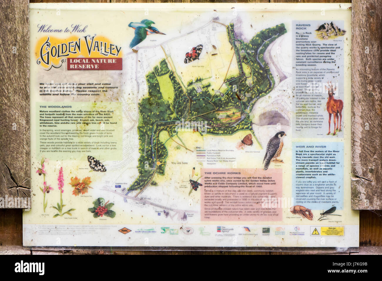 WICK, Royaume-Uni - 23 MAI 2017 affichage illustré des espèces et carte à l'entrée de la réserve naturelle locale dans la région de South Gloucestershire, Angleterre, RU Banque D'Images