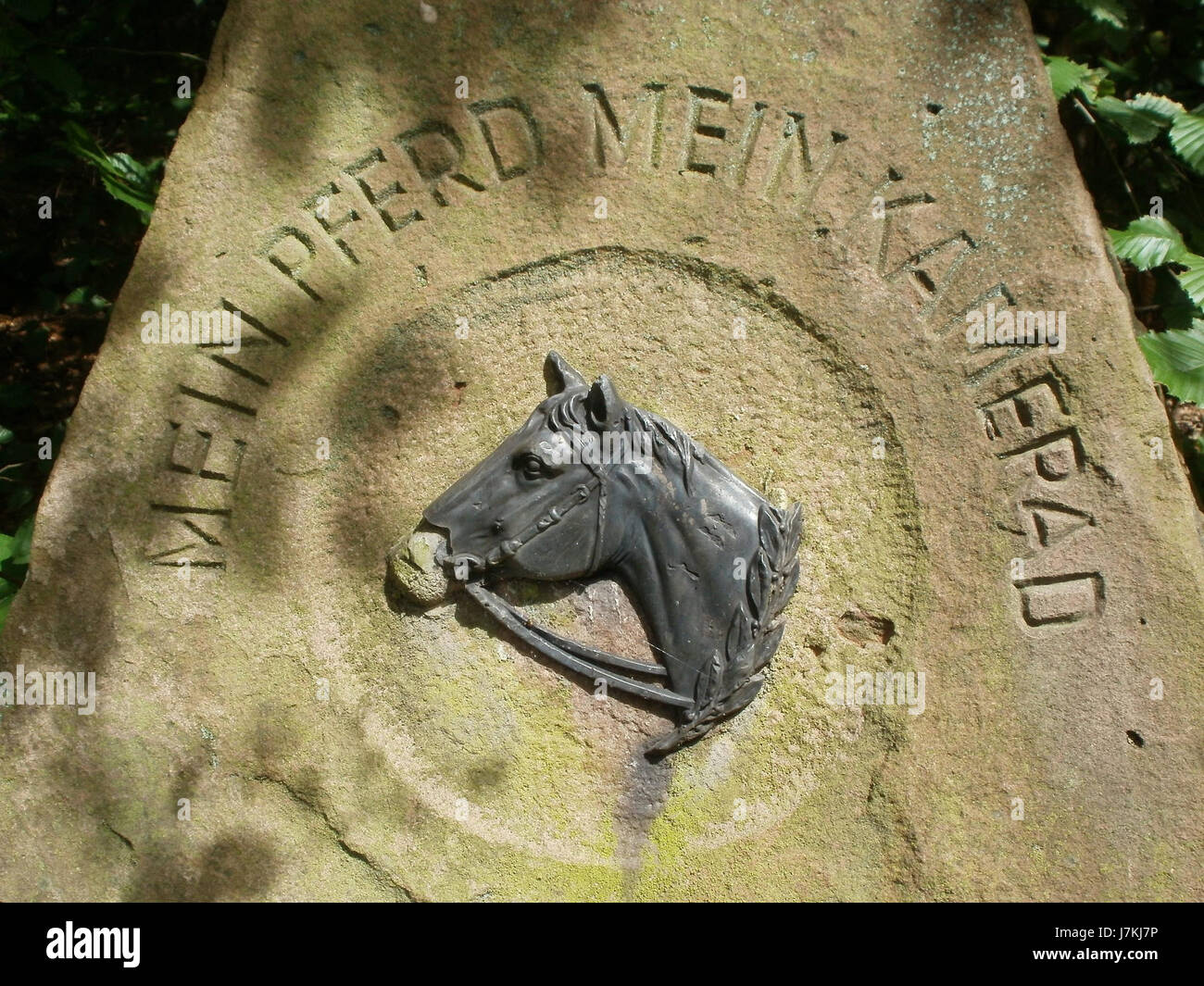 Le Veith Denkmal est un monument historique, commémorant probablement un individu ou un événement important, datant du 23 juin 2011. Il sert d'hommage à son sujet, marquant un point important de l'histoire. Banque D'Images