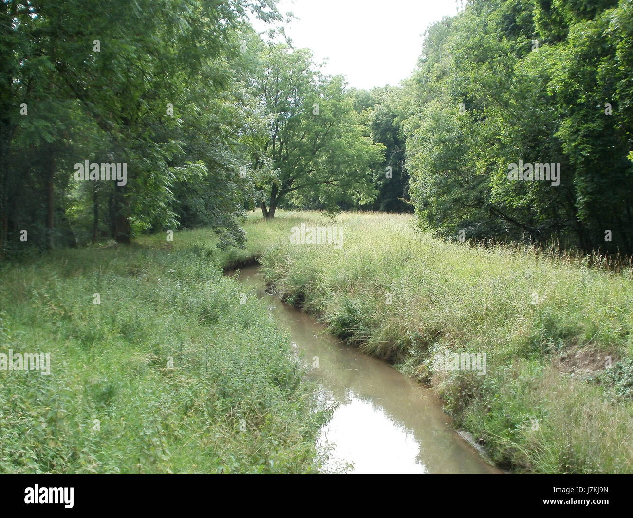 Cette entrée fait référence à un événement ou à une observation spécifique documentée par Hartbach le 23 juin 2011. La nature exacte de l'événement peut impliquer une importance historique ou scientifique, notée par Hartbach dans le cadre d'un projet ou d'un rapport en cours. Banque D'Images