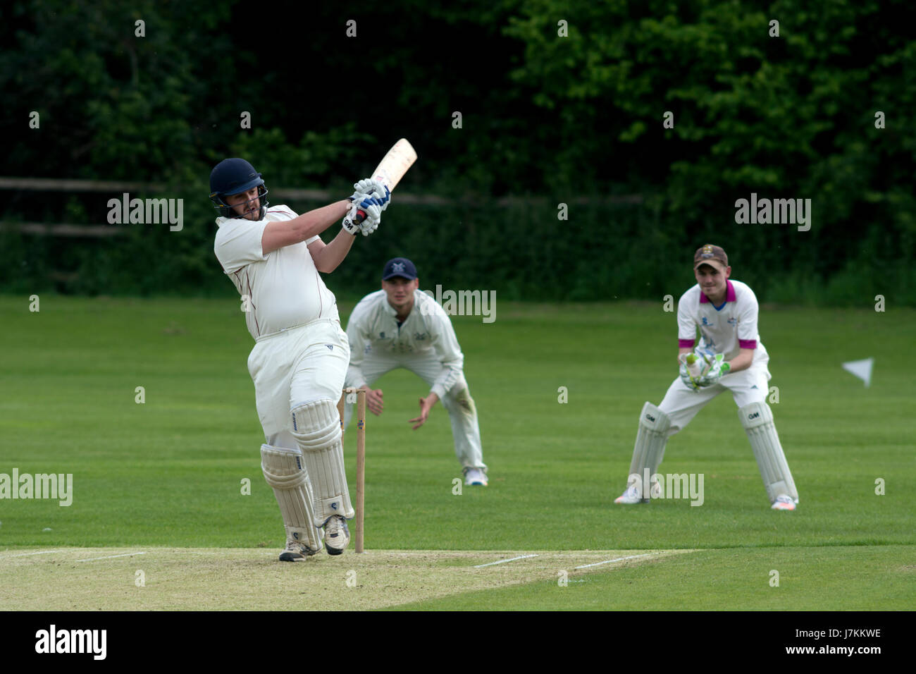 Le sport universitaire, UK - men's cricket Banque D'Images