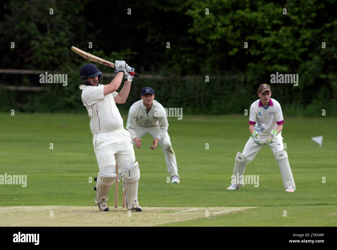 Le sport universitaire, UK - men's cricket Banque D'Images