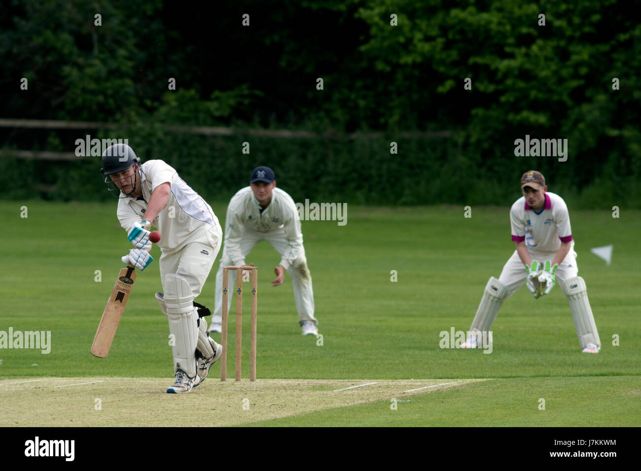 Le sport universitaire, UK - men's cricket Banque D'Images