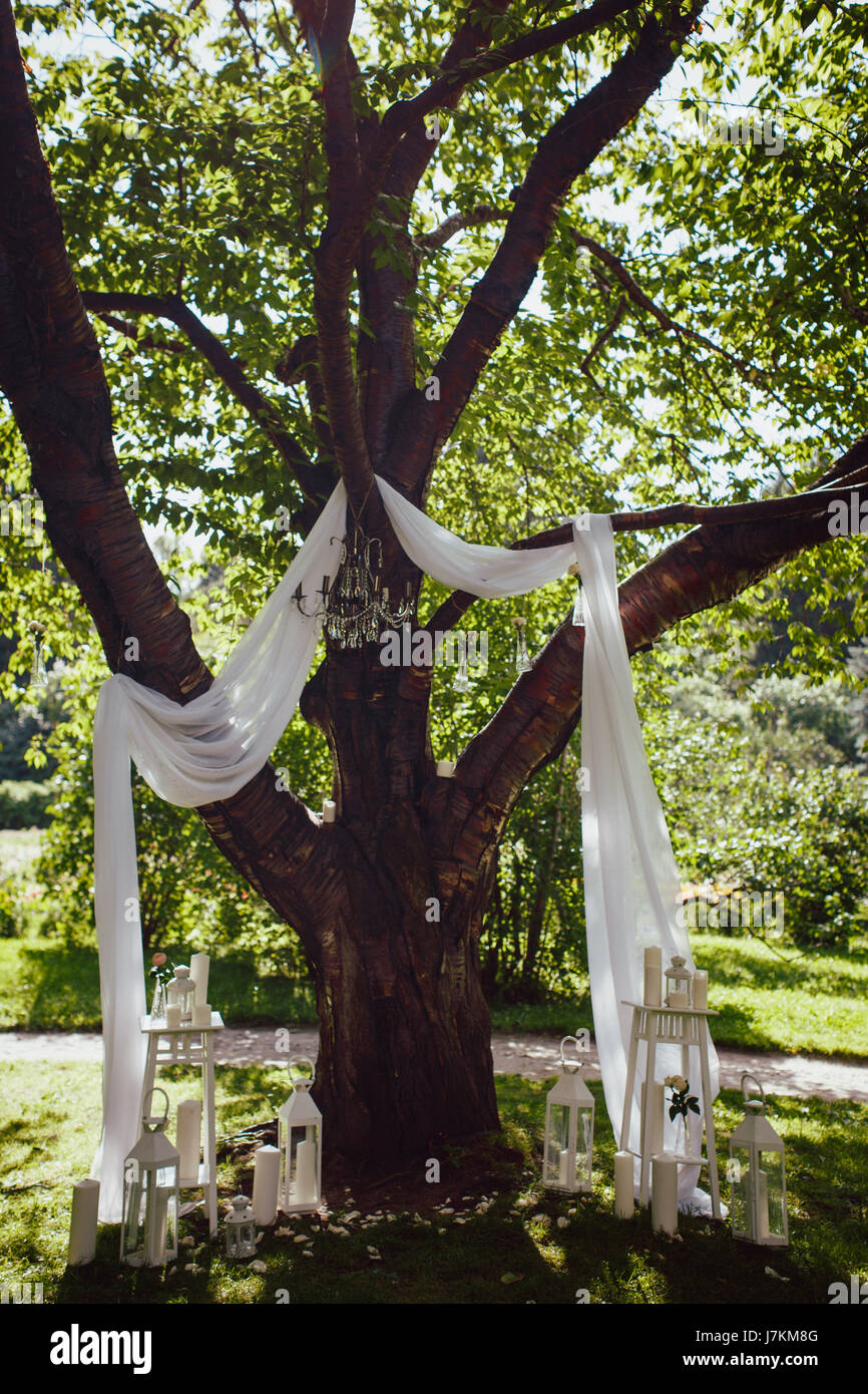 Photozone dans la nature pour un mariage Banque D'Images