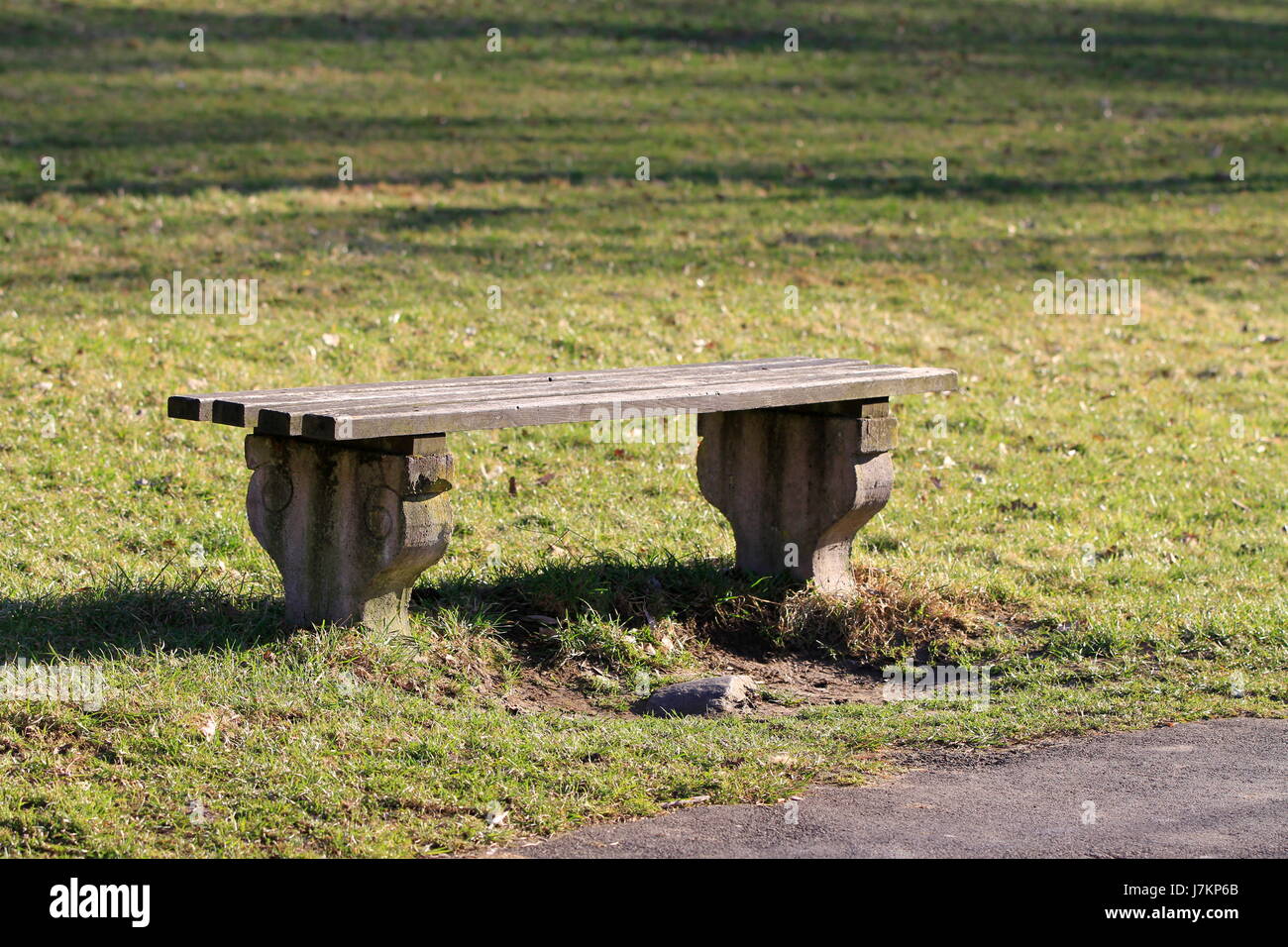 Banc de parc poubelle de façon chemin meadow park bench faire macro close-up Banque D'Images