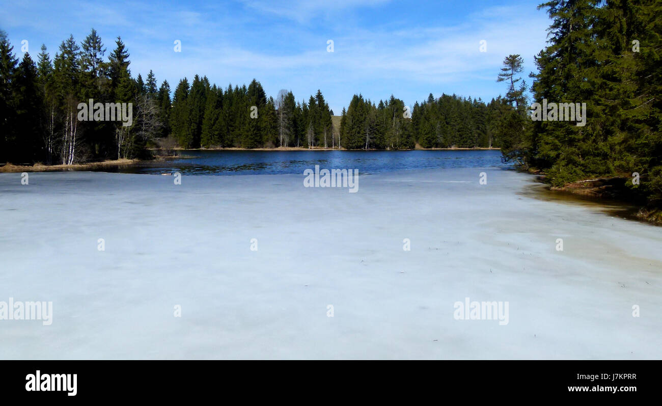 Feuille de gel de la glace du lac de la firs law mer océan eau eau salée rive banque Banque D'Images