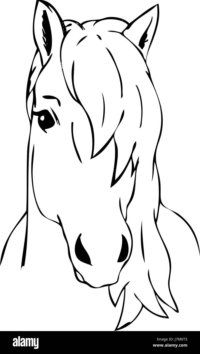 Illustration couleur peinture dessiner cartoon art cheval isolé face portrait sauvage Banque D'Images