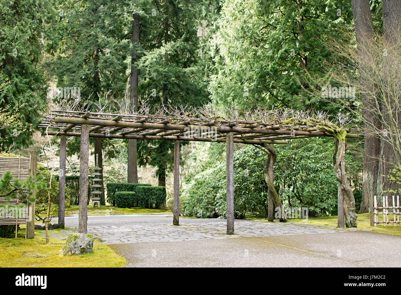 Pergola de jardin japonais arbre arbres structure pagode en pierre de