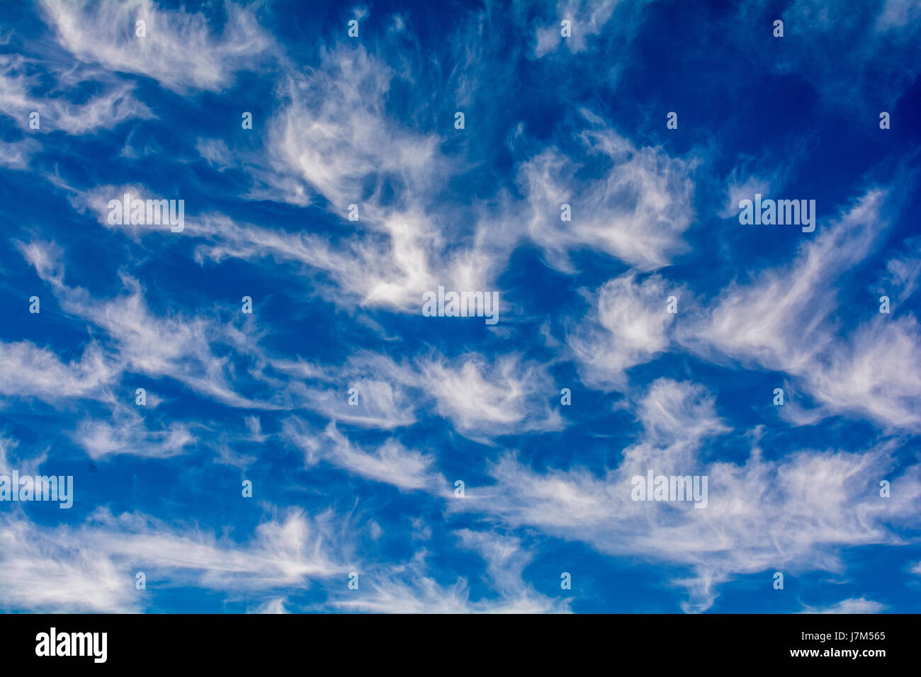 Cute les cirrus dans le ciel bleu photo perfect Banque D'Images
