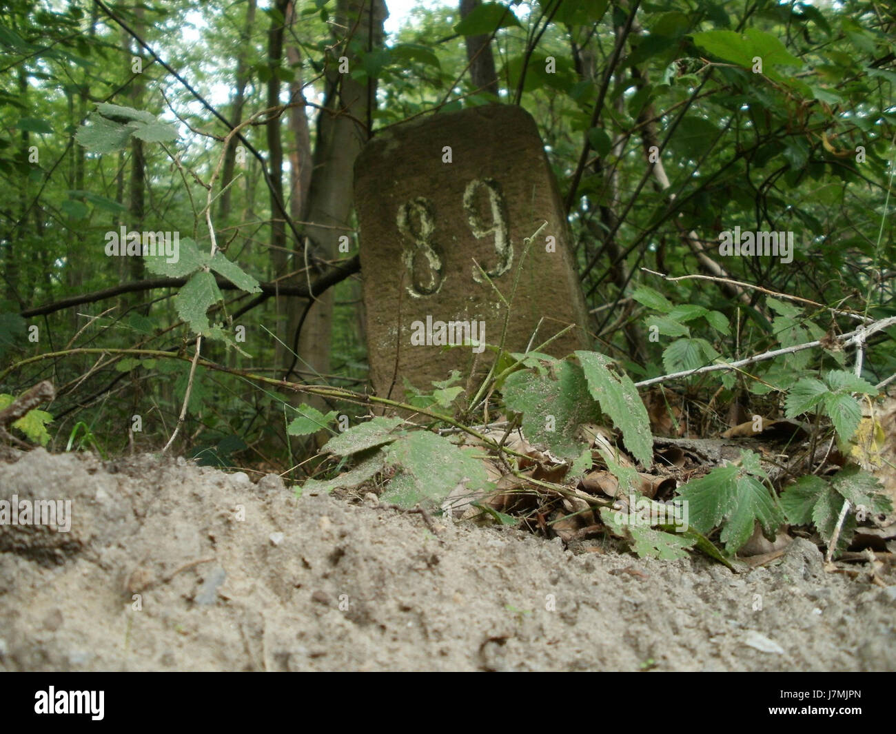 Cette image fait référence à un emplacement à Reilinger Eck, capturé le 31 juillet 2011. Il documente la vue de la rue de la région, offrant un aperçu de l'environnement local et de l'architecture à cette époque. Banque D'Images