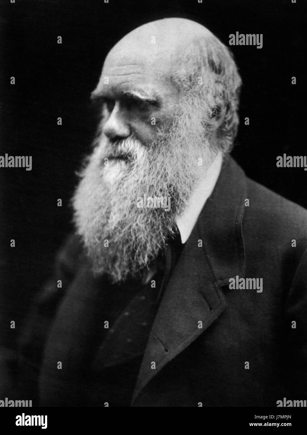 Charles Darwin photo de Julia Margaret Cameron, 1968 Banque D'Images