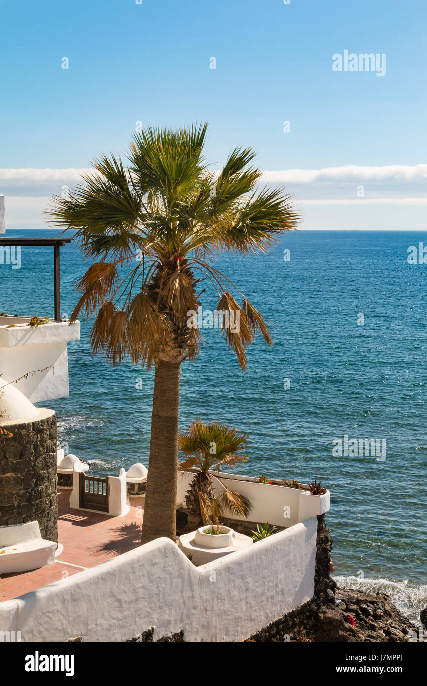 Palmier dans une maison jardin dans Puerto del Carmen à Lanzarote, Espagne avec vue sur la mer. Banque D'Images