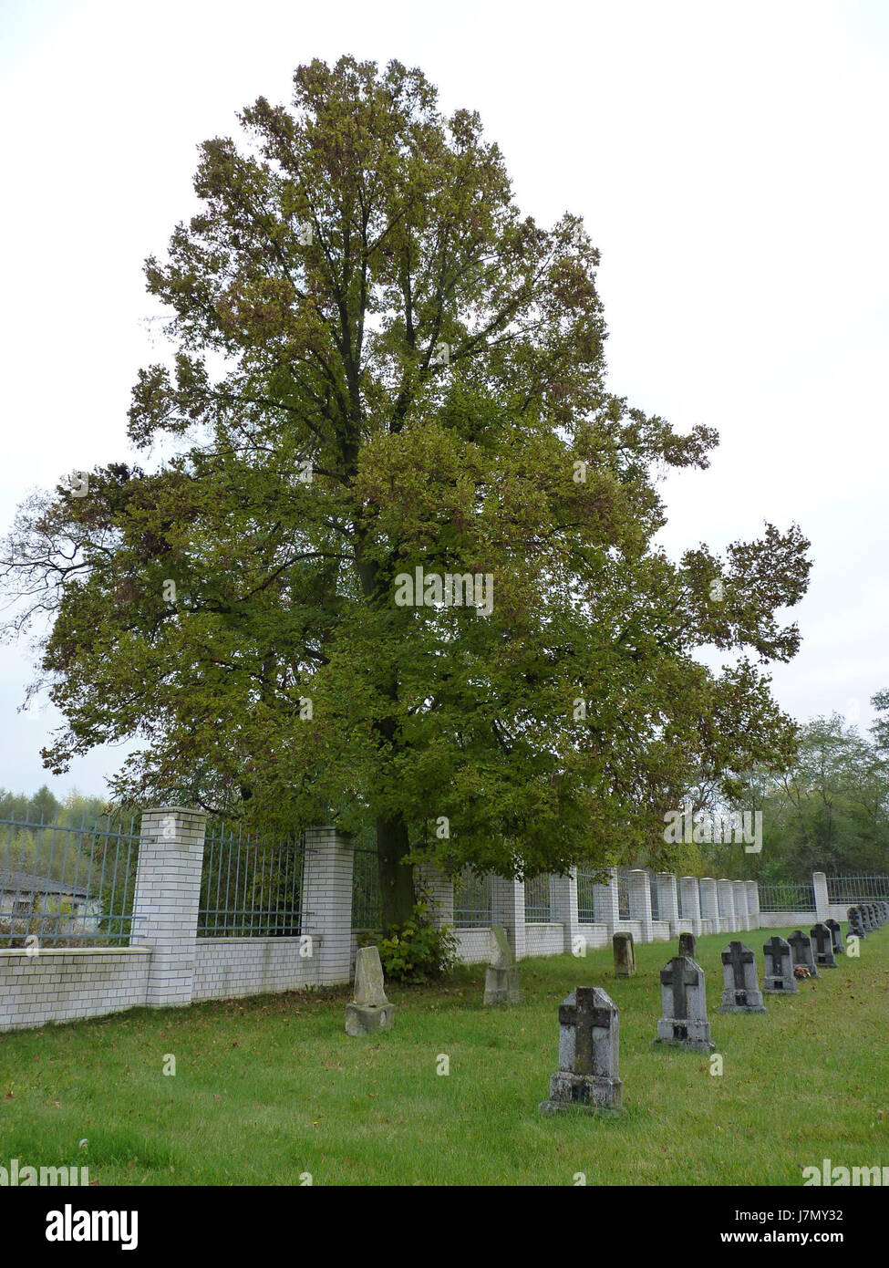 2011 Italsky vojensky hrbitov 02 Banque D'Images