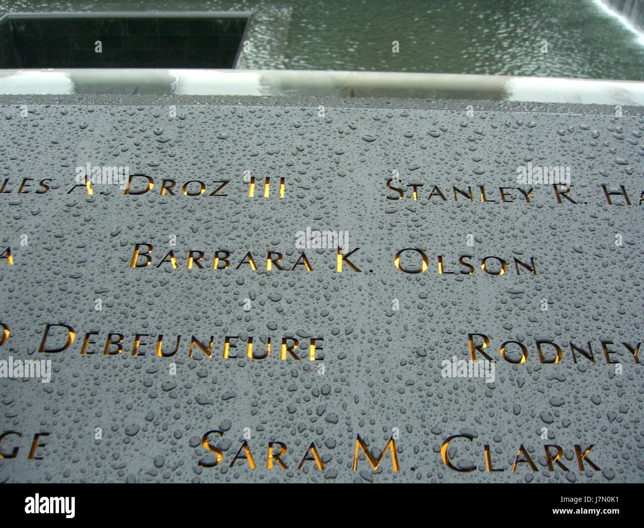 12.6.11BarbaraOlsonPanelS ByLuigiNovi 706 Banque D'Images