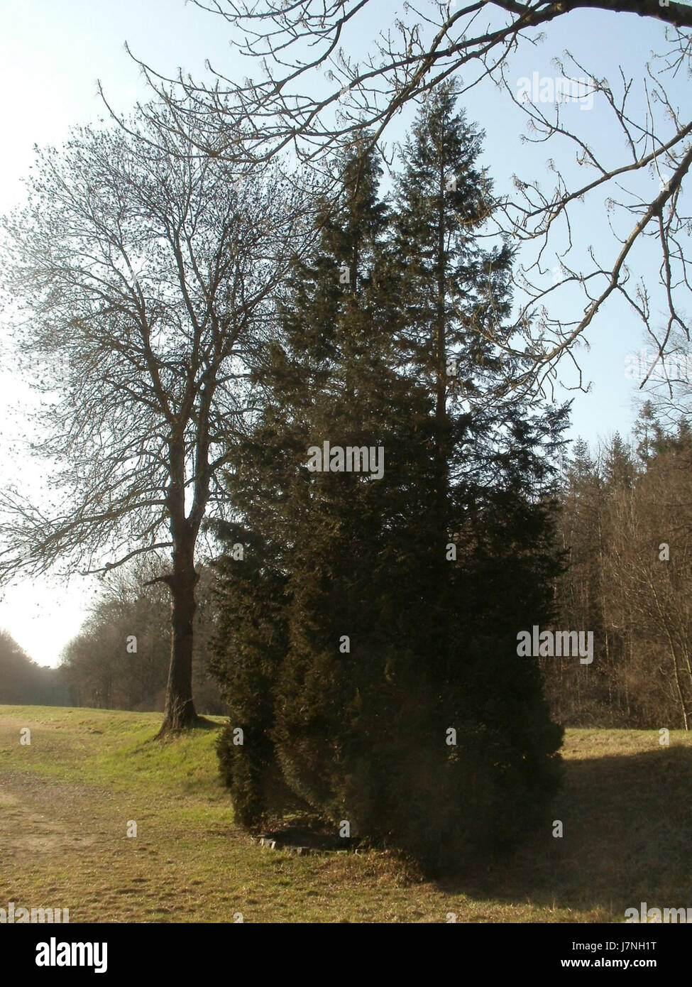 20120316Jim Clark1 Banque D'Images