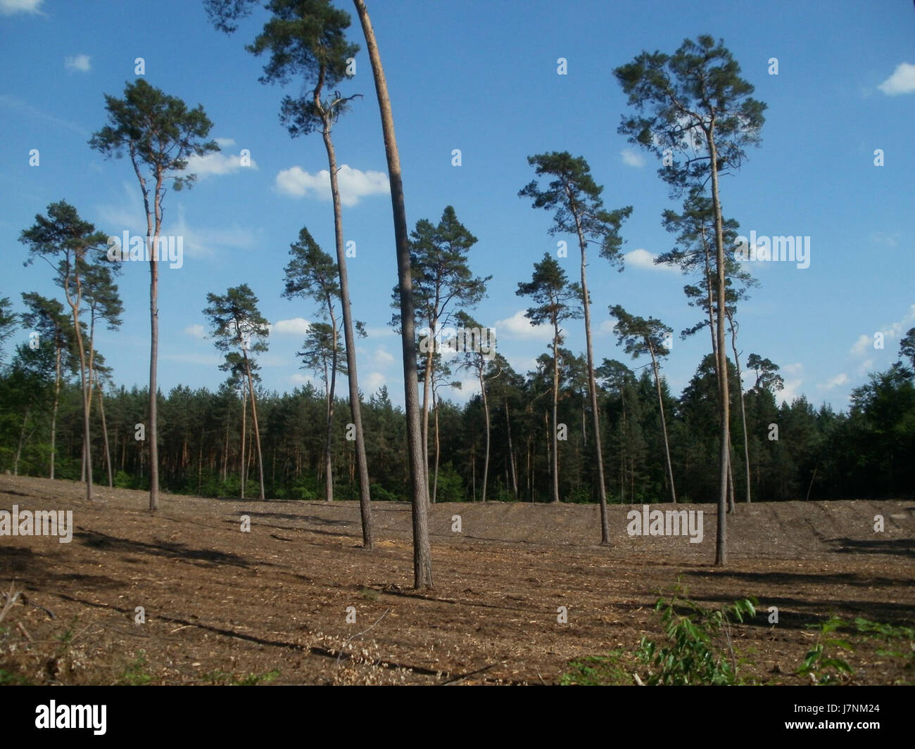 Une photographie de Duene Pumpwerkweg 11, montrant le paysage industriel d'une station de pompage, qui fait partie de l'infrastructure allemande, vitale pour la gestion de l'eau et les systèmes de drainage. Banque D'Images