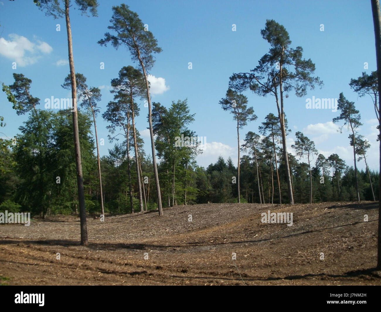Le Duene Pumpwerkweg est une infrastructure importante située dans une zone côtière, principalement impliquée dans la gestion du débit d'eau et la protection des régions environnantes contre les inondations. Elle joue un rôle clé dans la gestion locale de l'eau et la protection de l'environnement. Banque D'Images