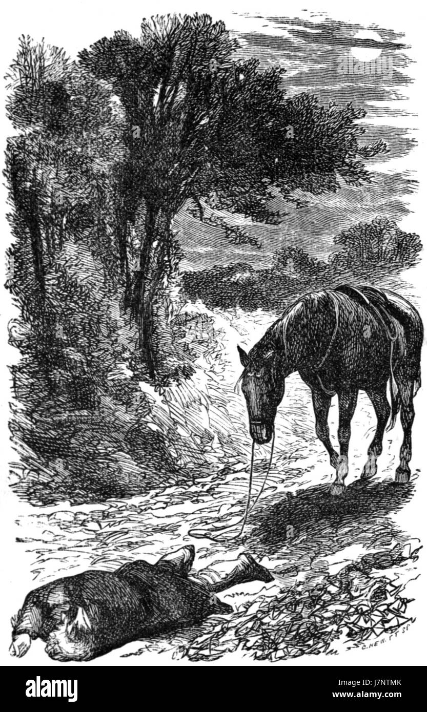 Cette page du roman de 1877 'Black Beauty' présente une scène de la célèbre histoire, connue pour sa représentation de la vie des chevaux et du bien-être animal. Le roman explore les thèmes de la gentillesse et de la maltraitance des animaux. Banque D'Images