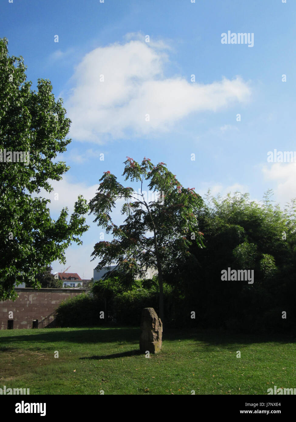 Le 'Goetterbaum' est une sculpture d'arbre située à SaarbrÃ¼cken, en Allemagne, connue pour son design artistique unique et sa représentation symbolique de la nature et de la spiritualité. Banque D'Images