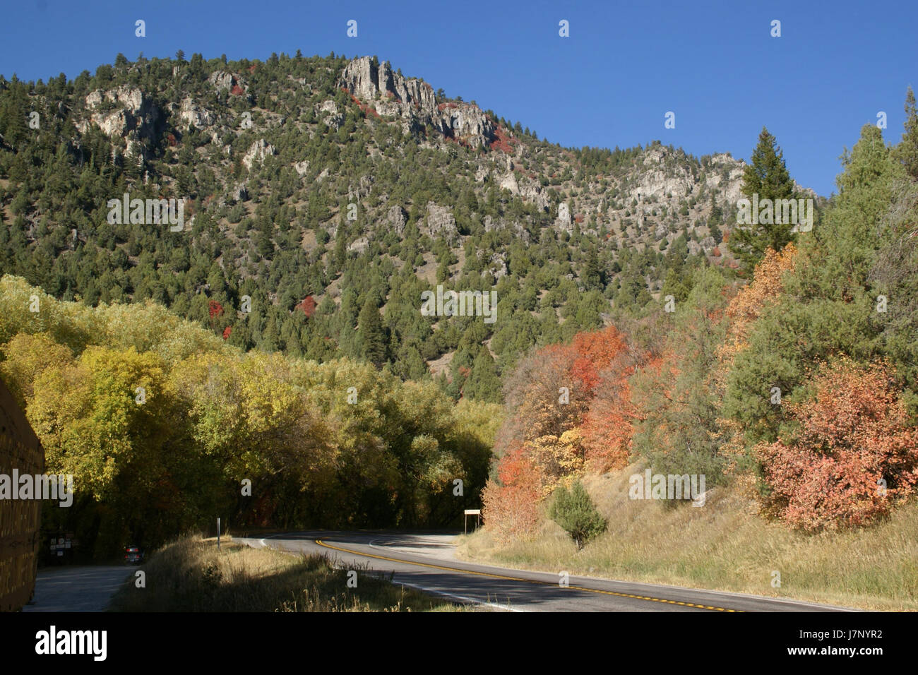 Une photographie ou un document du 30 septembre 2012, pris dans la région de Chokecherry le long de la US Highway 89, près de Logan, Utah, capturant les couleurs vibrantes de l'été indien dans la région. Banque D'Images