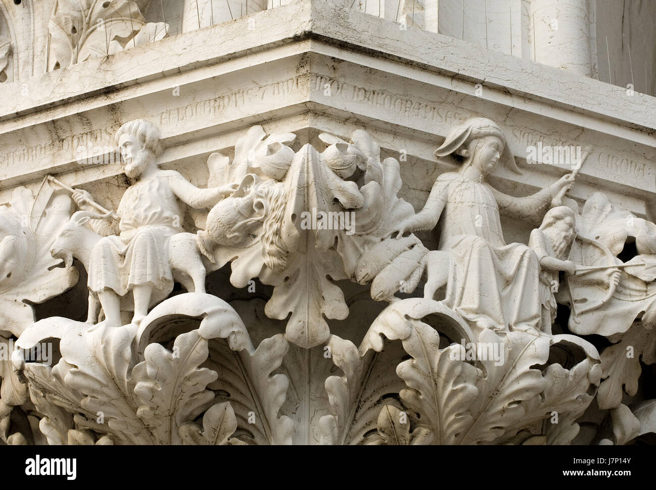 Détail feuille gros plan de l'art antique en pierre sculpture murale en  feuilles de Venise Photo Stock - Alamy