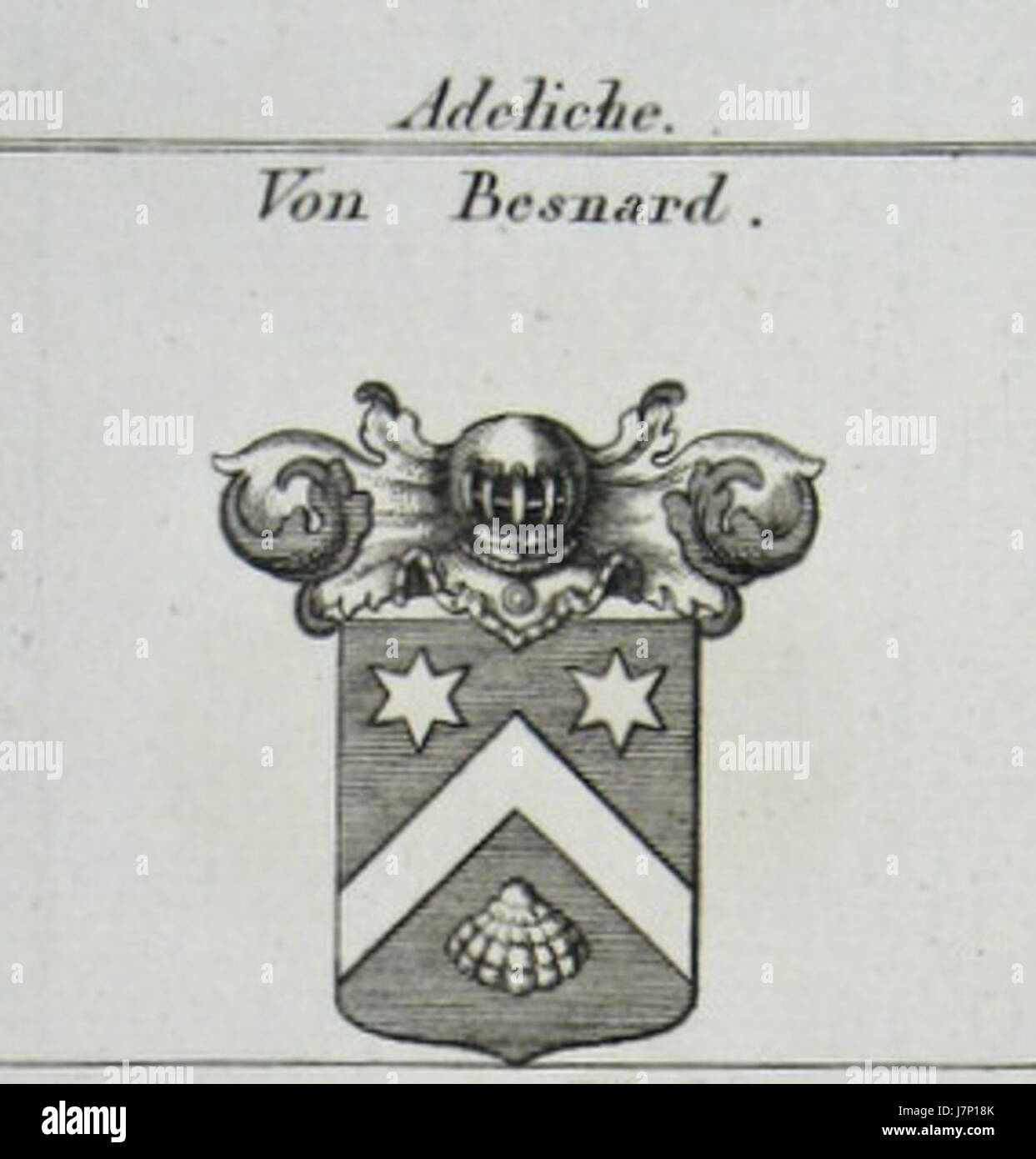 Une image des armoiries de la famille Besnard, mettant en valeur le design héraldique et les symbolismes associés à l'héritage du familyâ€™s. Banque D'Images