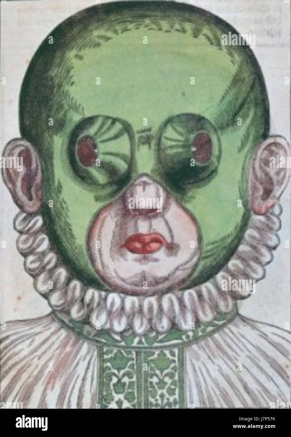 L'illustration intitulée 'Bartisch 016r col' fait probablement référence à une image du texte médical du XVIe siècle de Johannes Bartisch, mettant l'accent sur les maladies oculaires et les traitements. Son travail est une contribution clé à l'ophtalmologie moderne précoce, en particulier dans l'étude des troubles oculaires et des interventions chirurgicales. Banque D'Images