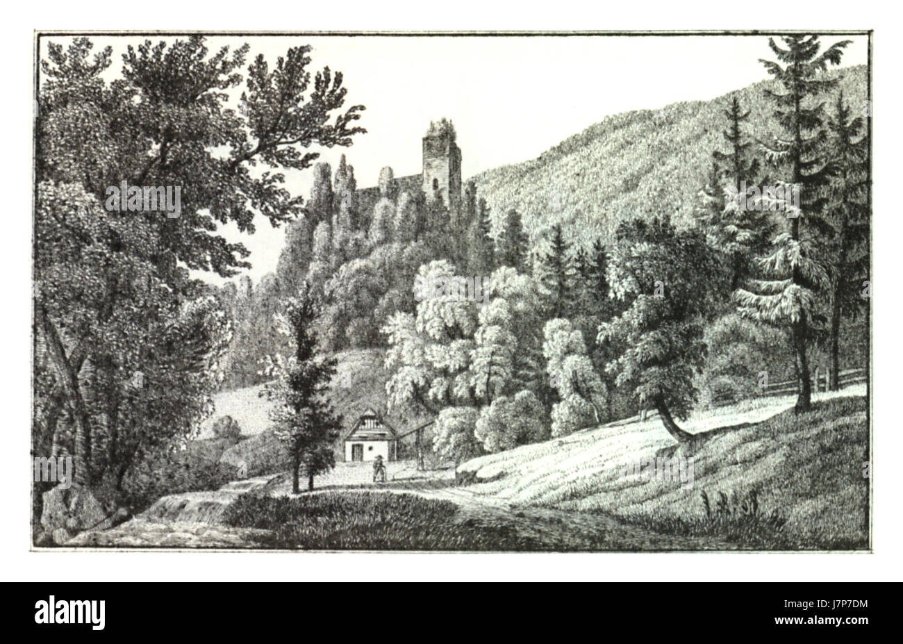 026 Ruine Ehrenfels dans der Radegund bei Klamm Grazer im Kreis J.F.Kaiser Ansichten der Steiermark 1825 Lithografirte Banque D'Images