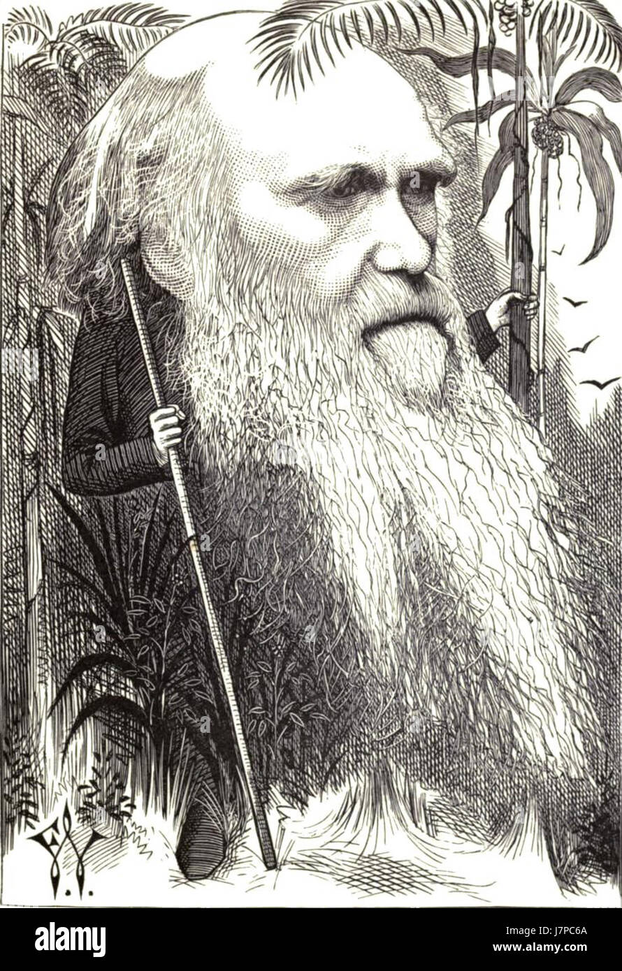 Charles Robert Darwin, naturaliste et biologiste anglais de renom, est surtout connu pour avoir développé la théorie de l'évolution par sélection naturelle, qui a influencé de manière significative la biologie et la science moderne. Banque D'Images