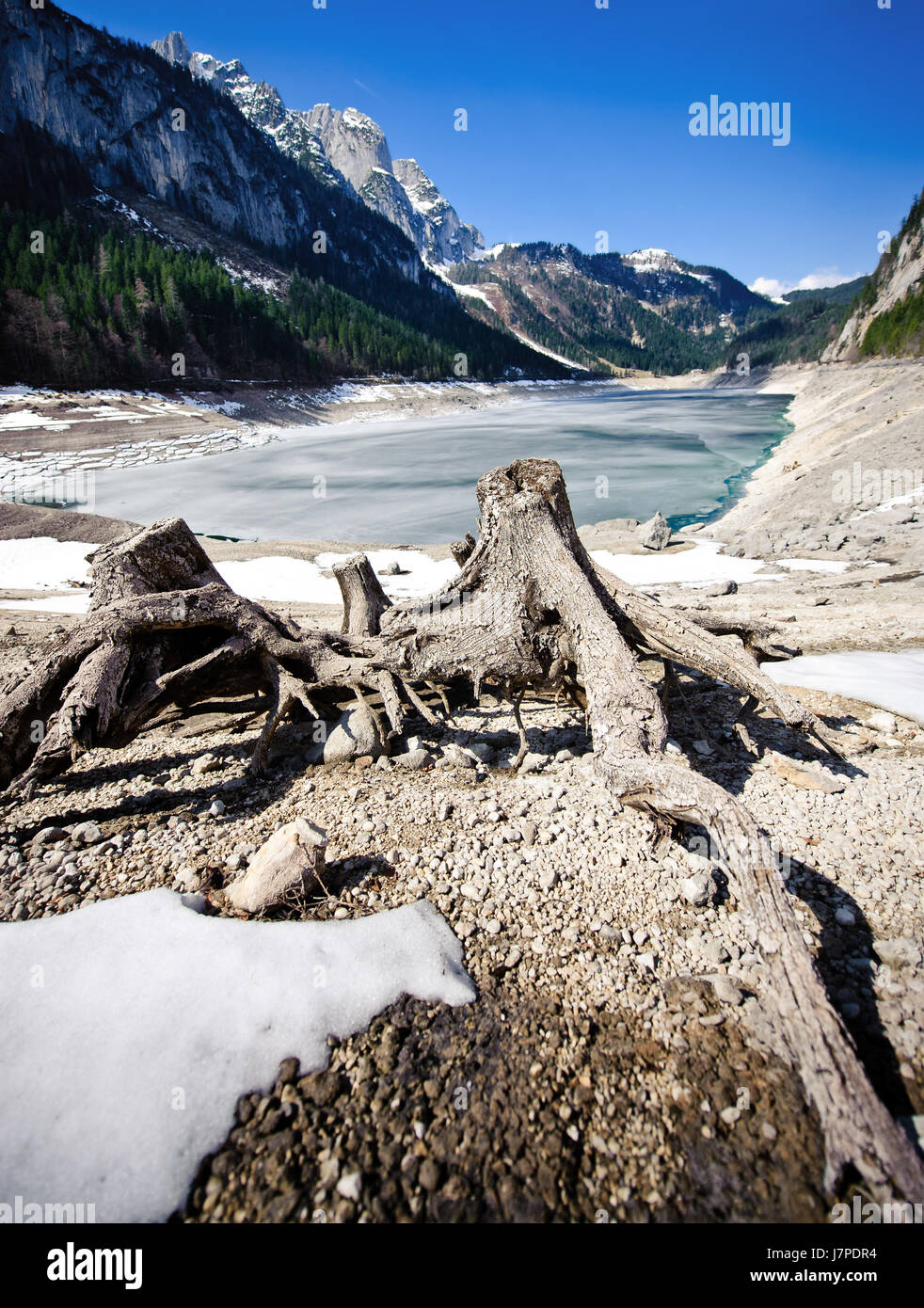 Montagne alpes autriche lac d'eau douce l'eau des eaux intérieures firmament sky tree Banque D'Images