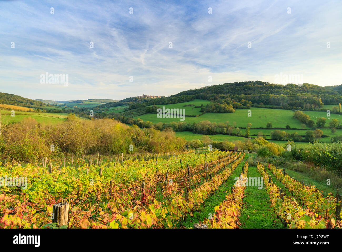 France, Côte d'Or, Flavigny-sur-Ozerain, étiqueté les plus Beaux villages de France, la chute du vignoble et le village loin Banque D'Images