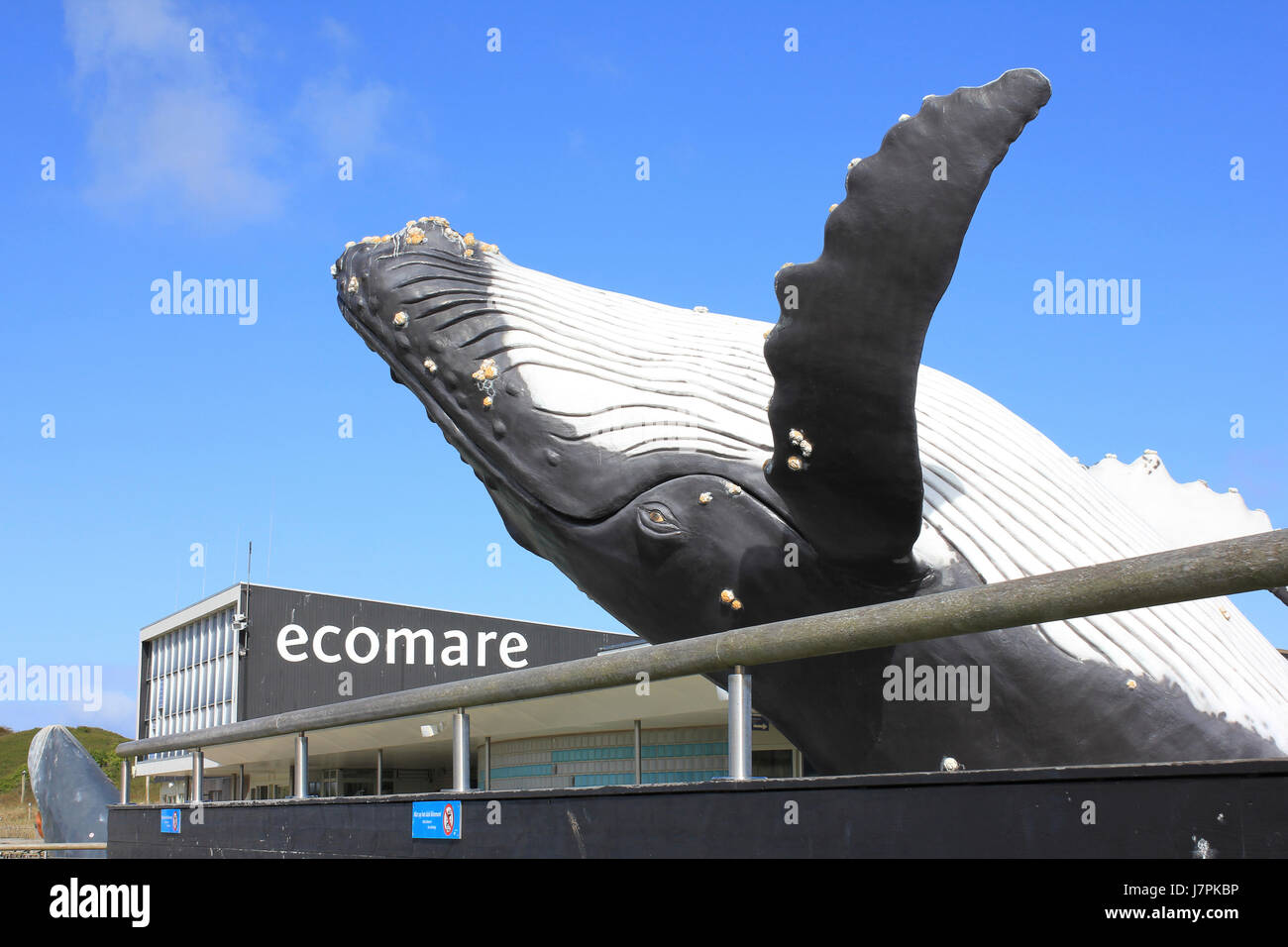 Ecomare - Sculpture Baleine à bosse Banque D'Images