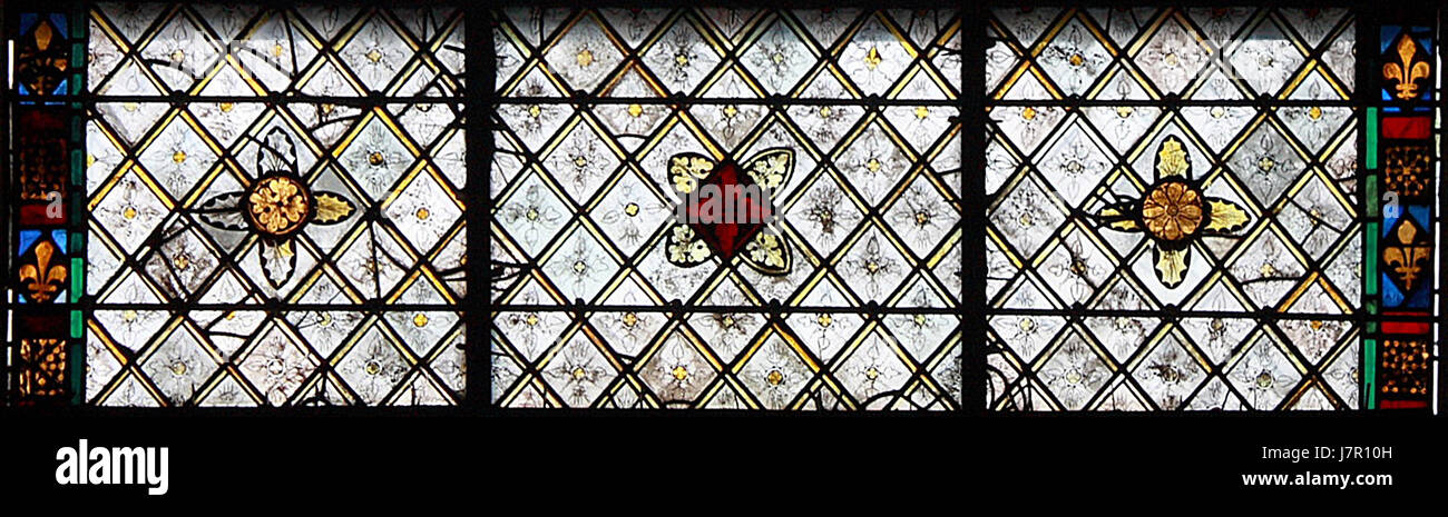 Chartres Motifs fleuraux 026 Banque D'Images