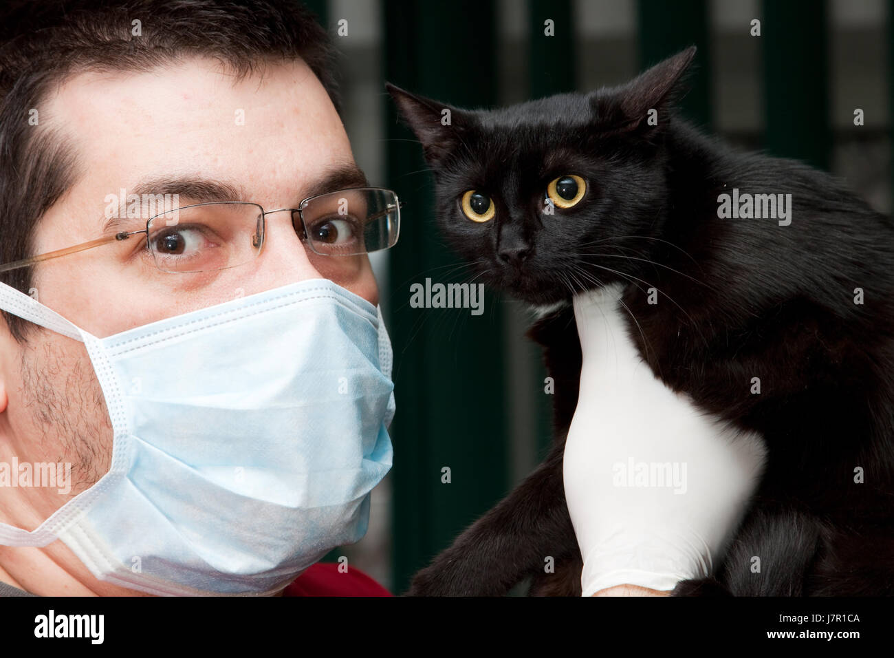 Pet Vet vétérinaire santé chat minou chat domestique malade médecin médecin malade Banque D'Images