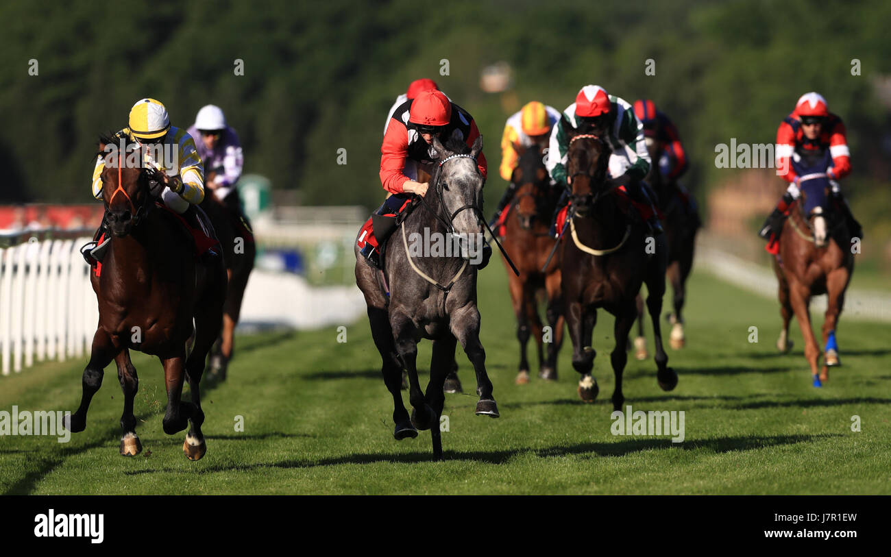 Boycie (gauche) monté par Tina Smith revient à la maison pour gagner d'Allumettes betting exchange Handicap à Sandown Park Racecourse. Banque D'Images