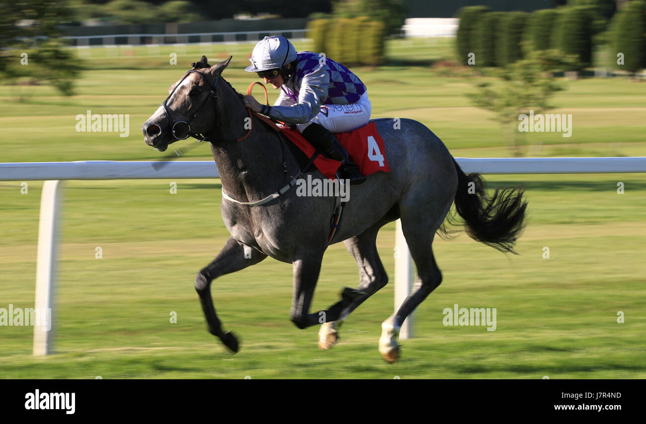 Havana Grey monté par P.J.McDonald's vient à la maison pour gagner de meilleures chances avec le livre de jumelage National Stakes à l'hippodrome de Sandown Park.APPUYEZ SUR ASSOCIATION photo.Date de la photo: Jeudi 25 mai 2017.Voir PA Story Racing Sandown.Le crédit photo devrait se lire comme suit : John Walton/PA Wire Banque D'Images