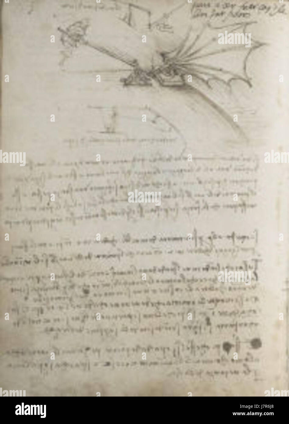 Codex sur le vol des oiseaux Banque de photographies et d’images à ...