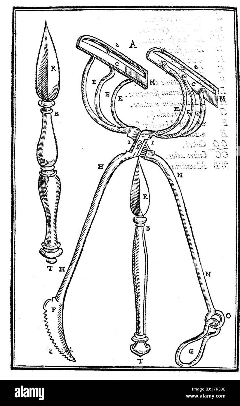 'De curtorum chirurgia' est une œuvre médicale du début de la Renaissance, axée sur le traitement chirurgical des hernies. Le livre décrit les techniques et les procédures de réparation de hernie, marquant un progrès significatif dans les pratiques chirurgicales au cours de la période. Banque D'Images