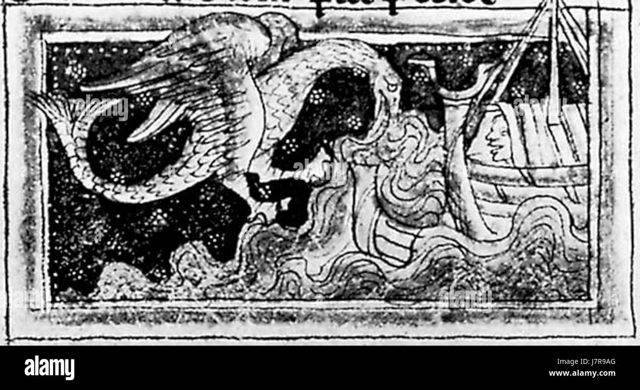 Un dragon comme le poisson-scie Banque D'Images