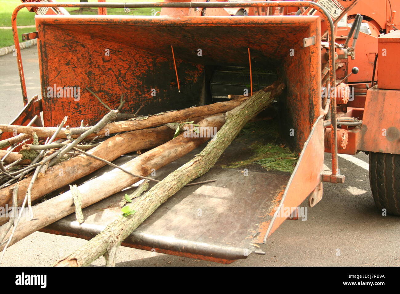 Danger Tree branches bois garniture vu les tâches de maintenance de cour de coupe de bois Banque D'Images