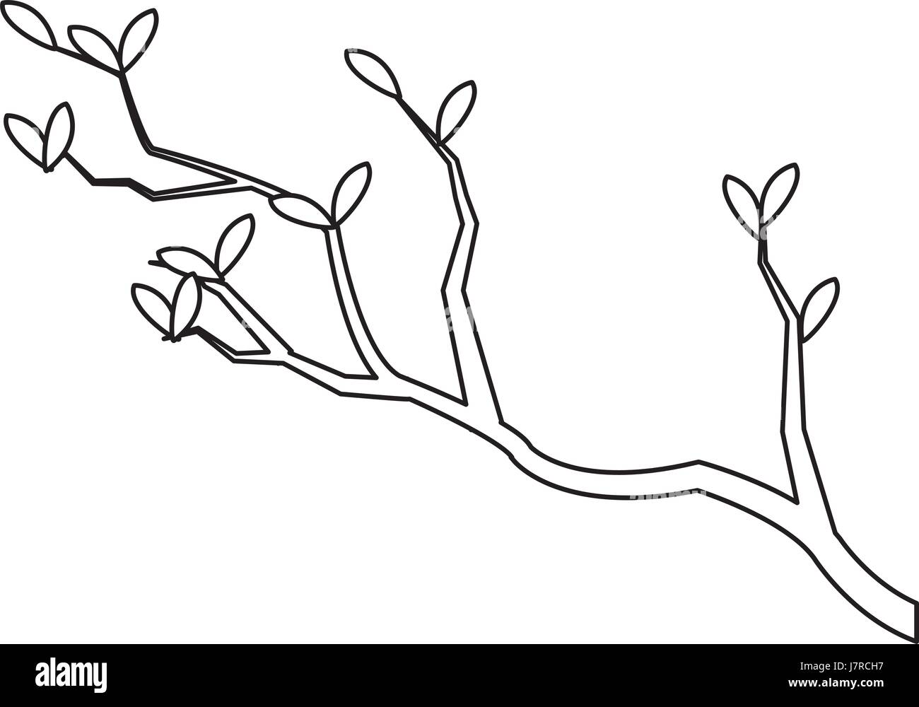 Direction générale de la nature arbre feuilles contour japon Illustration de Vecteur