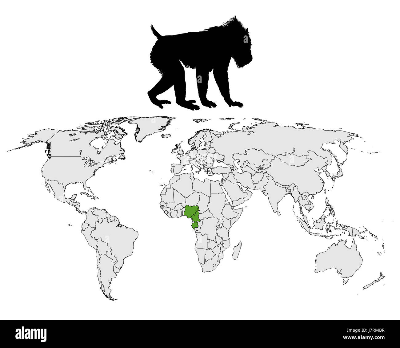 Mammifère animal singe en option l'Afrique noir blanc noir profond jetblack basané Banque D'Images