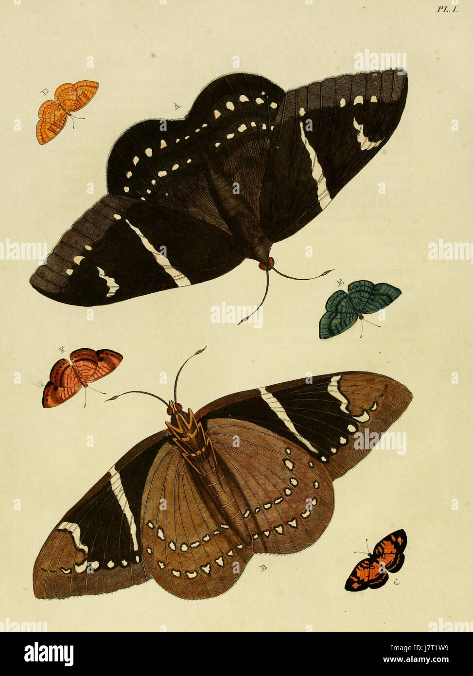 Cette assiette de « Uitlandsche Kapellen » de Cramer & Stoll présente des chapelles étrangères, réfléchissant sur des espaces architecturaux et religieux de différentes cultures et régions. Banque D'Images