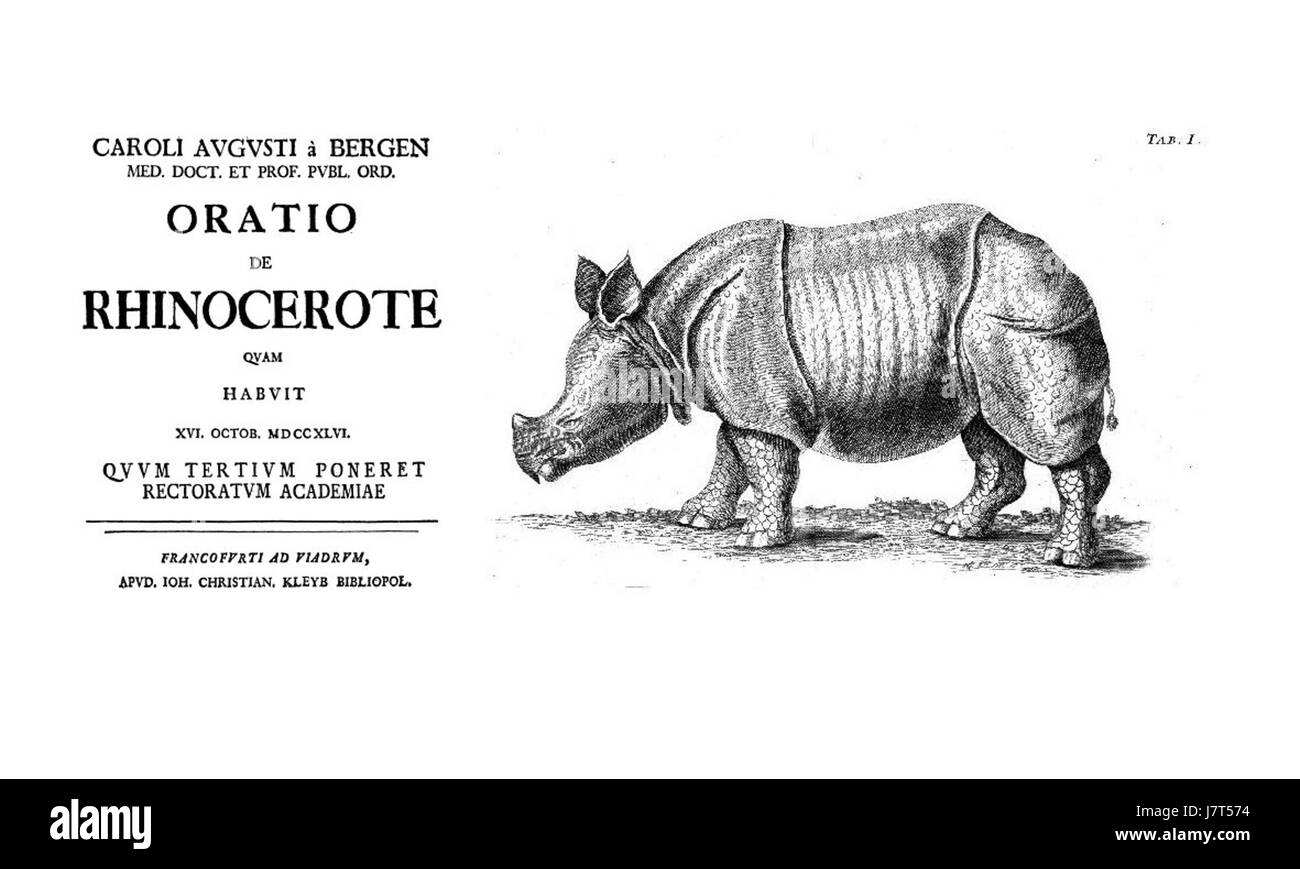 Image ou photographie d'un rhinocéros à Bergen, représentant probablement l'animal dans son habitat naturel ou dans un zoo. Banque D'Images Image ou photographie d'un rhinocéros à Bergen, représentant probablement l'animal dans son habitat naturel ou dans un zoo. Banque D'Images