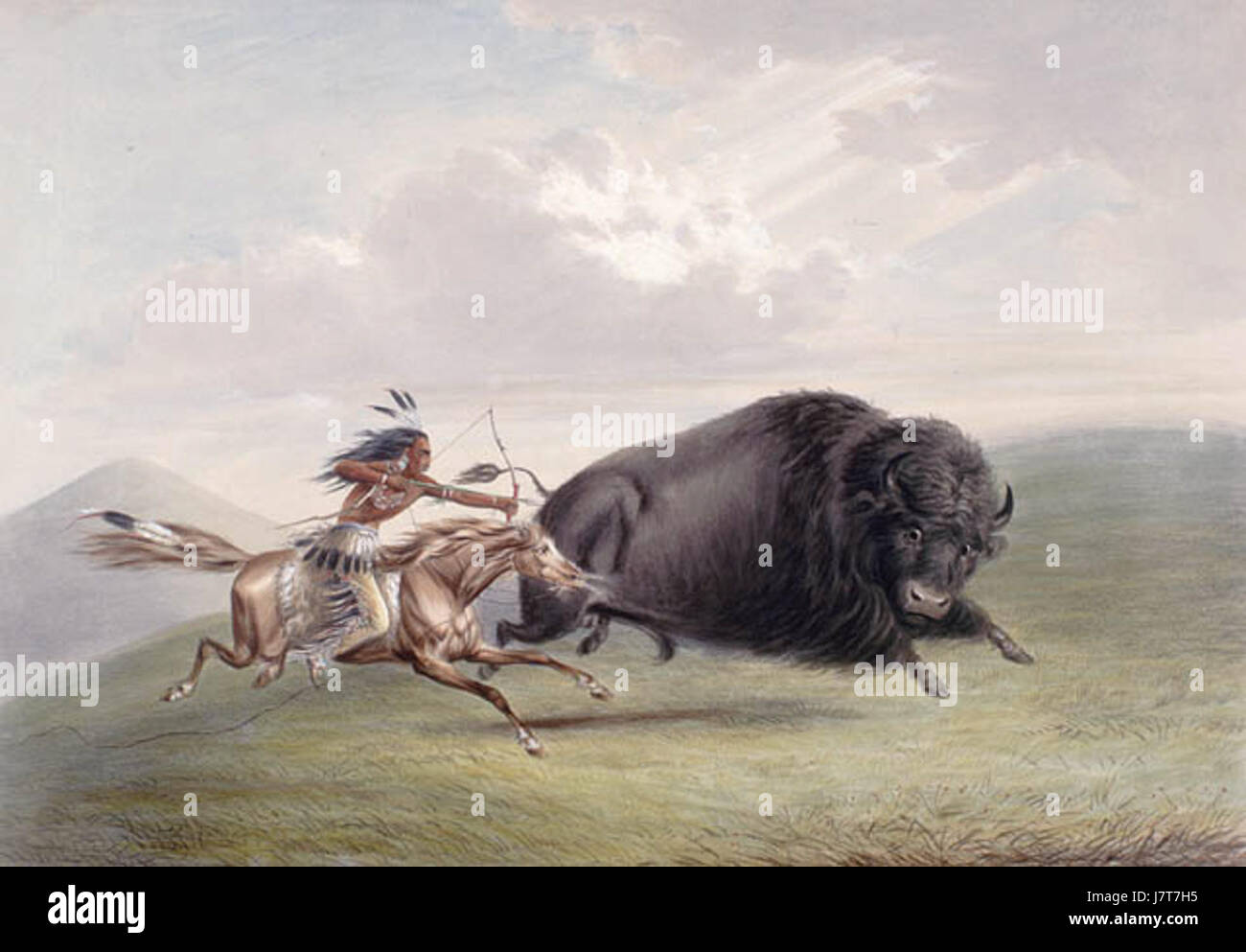 Chasse au bison Banque D'Images