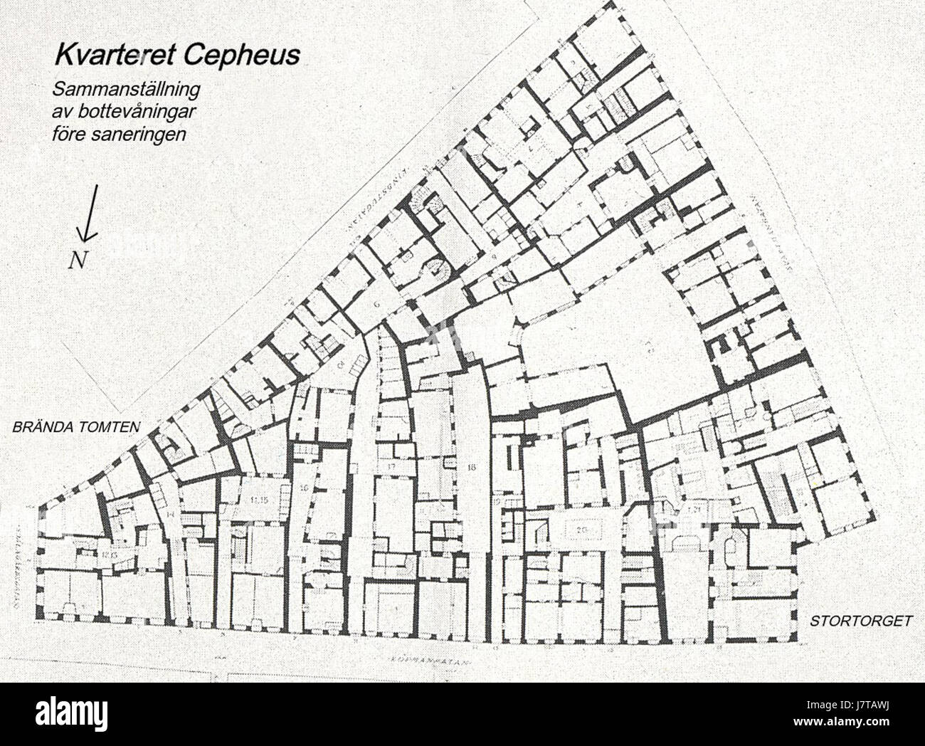 Céphée est une constellation importante dans le ciel du nord, nommée d'après le mythique roi éthiopien Céphée. La constellation contient plusieurs étoiles notables et des objets du ciel profond. Sa caractéristique la plus connue est l'étoile Alderamin, qui est l'étoile alpha de Céphée, une géante blanche qui est importante dans la navigation céleste et l'observation des étoiles. Banque D'Images