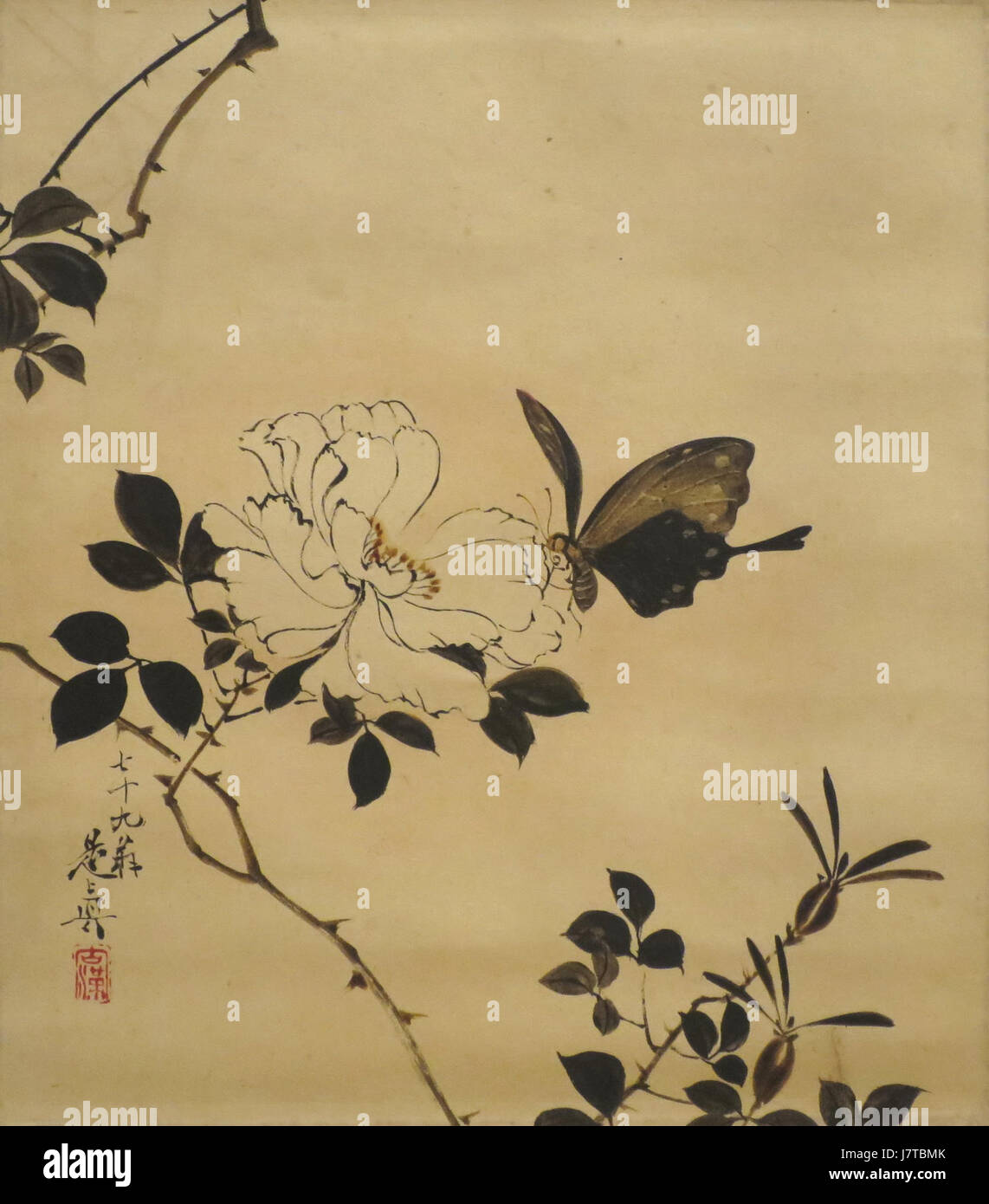 'Butterfly et Wild Rose' par Shibata Zeshin, 1885, Honolulu Museum of Art, 4658.1 Banque D'Images