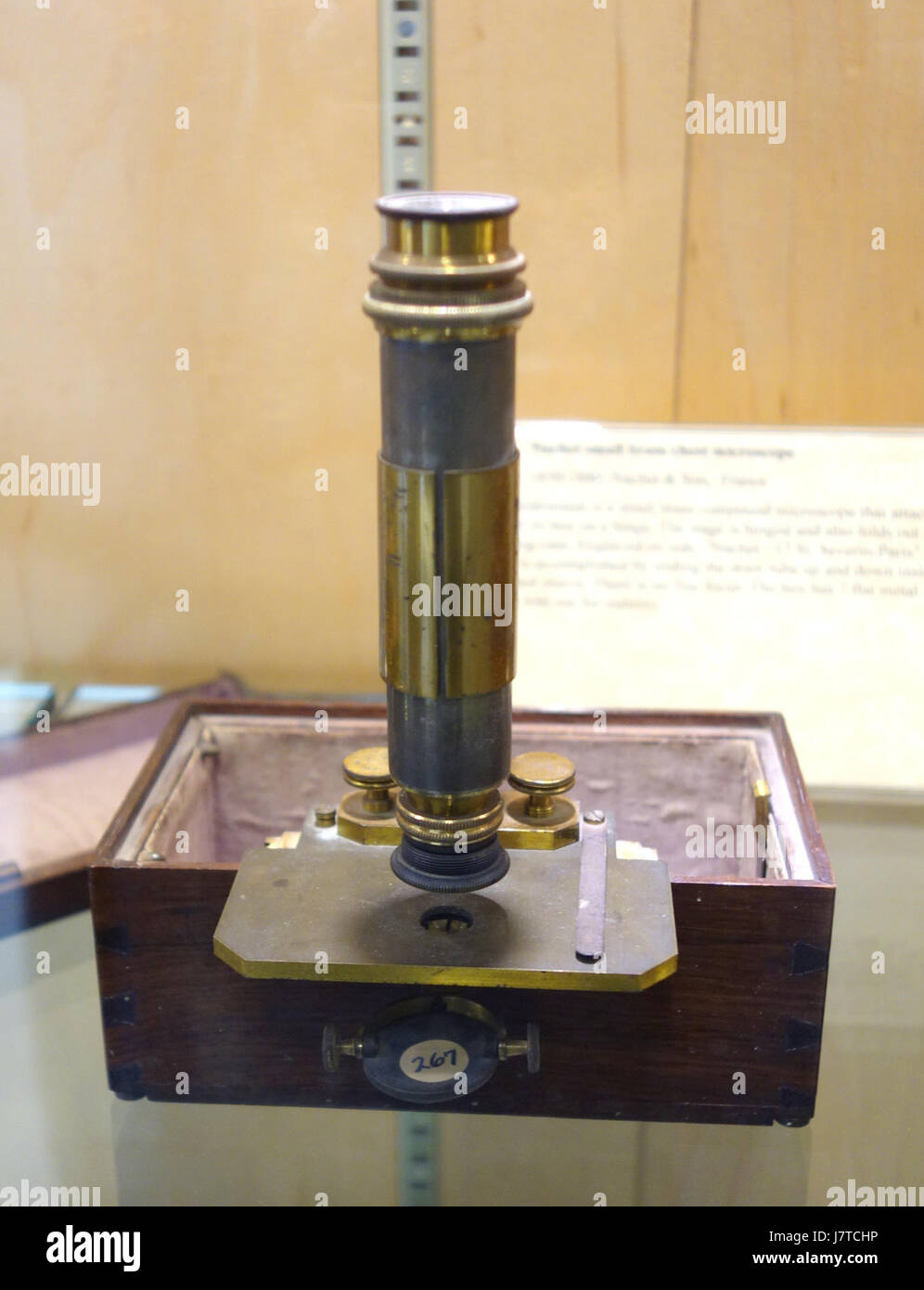 1850 1880, Nachet petite poitrine en laiton, microscope Nachet & Fils,  France, microscope composé collection Golub de microscopes anciens DSC04716  Photo Stock - Alamy