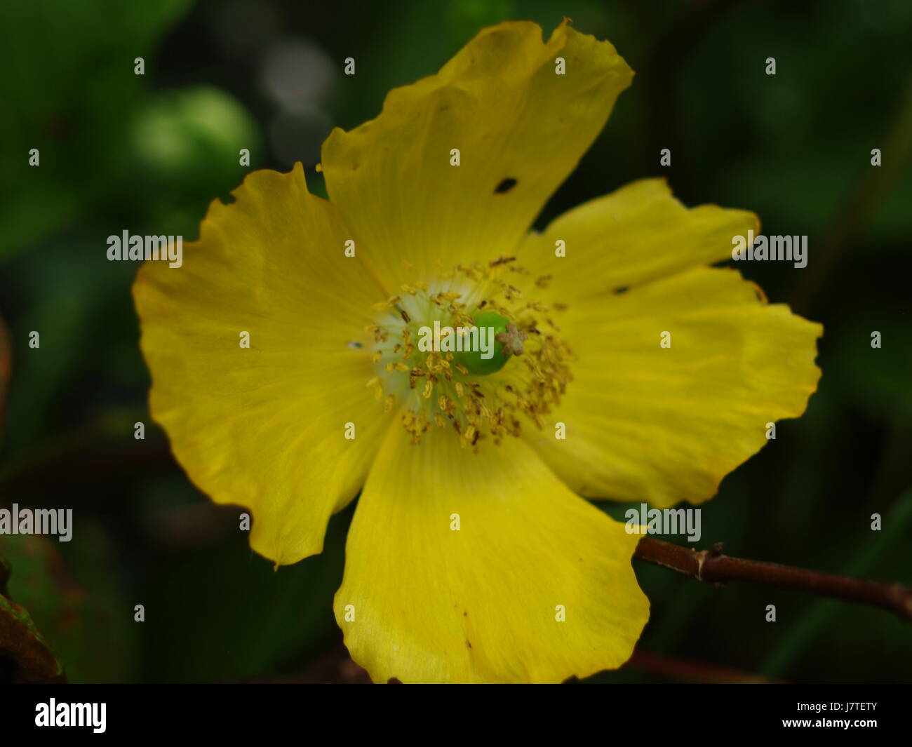 La photographie de la Nature Banque D'Images